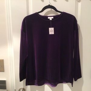 J Jill deep purple velvet top